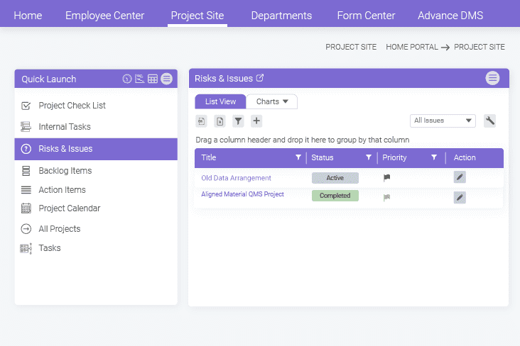 Analyze, report, and manage project issues effectively